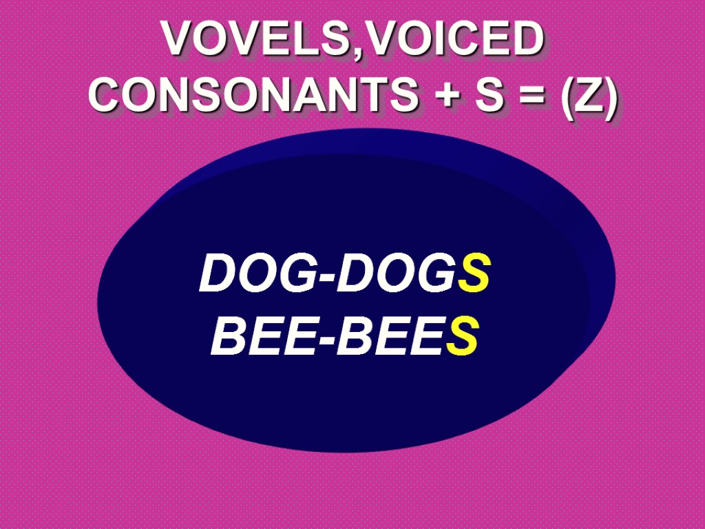 VOVELS,VOICED CONSONANTS + S = (Z) DOG-DOGS BEE-BEES
